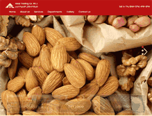 Tablet Screenshot of idealqatar.com